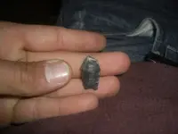 CIMG1143.webp