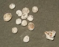 DSCN0823.webp