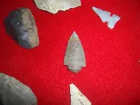 CIMG1154.webp