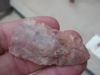 P1010034.webp
