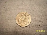 431350710_o.webp
