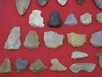 Paleo005.webp