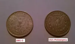 morgan back.webp