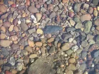 Gilmore Ohio River (23).webp