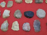 Paleo006.webp