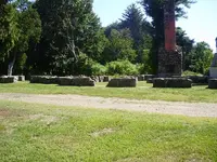resize5.webp