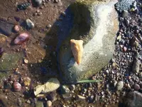 101_1027.webp