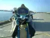 avatar_11194.webp