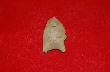 Paleo Points (1).webp
