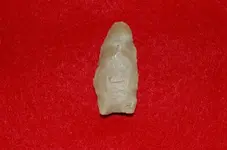 Paleo Points (2).webp