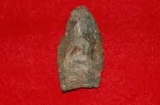 Paleo Points (3).webp