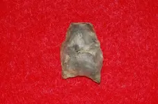 Paleo Points (4).webp