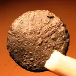 NC FINDS 10-5 001.webp