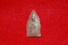 Paleo Points (6).webp