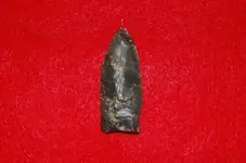 Paleo Points (11).webp