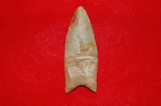 Paleo Points (12).webp