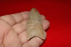 Paleo Points (13).webp