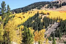 9-17c.webp