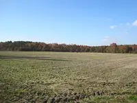 003.webp