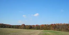 005.webp