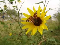 DSC03340.webp