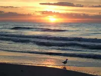 Beach Oct 2010 012 (700x525).webp