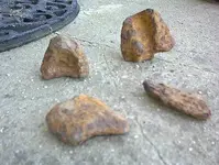 DSC00040.webp