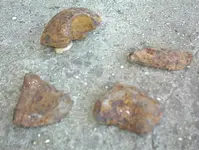 DSC00043.webp