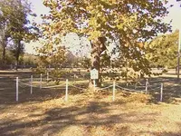 003.webp