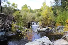 downstream.webp
