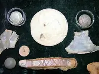 DSCN4795.webp