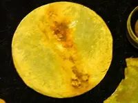 DSCN4797.webp