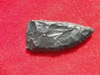 100_1040.webp