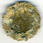 Bridle Rosette (reverse)001.webp