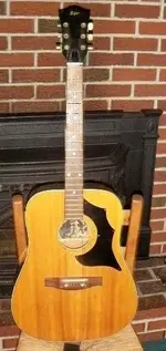 hofner front.webp