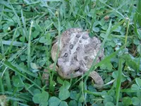 phpdTxbExPM.webp