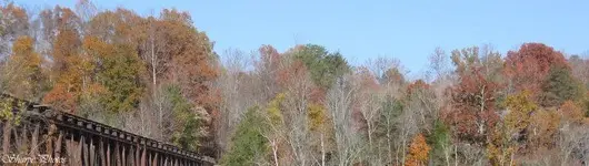 76374_1405821000125_1670401452_731834_246404_n.webp