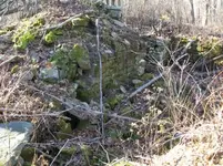 DEC 4TH  HUNT WITH ROGER  CELLAR HOLE SILVER 023 [].webp