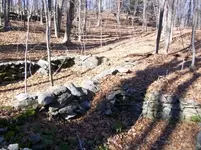 DEC 4TH  HUNT WITH ROGER  CELLAR HOLE SILVER 033 [].webp