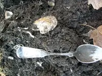 DEC 4TH  HUNT WITH ROGER  CELLAR HOLE SILVER 029 [].webp