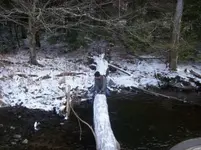 DEC 7TH  HUNT WITH ROGER  CELLAR HOLE CAMERA FOUND 001 [].webp