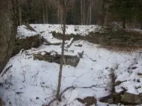 DEC 7TH  HUNT WITH ROGER  CELLAR HOLE CAMERA FOUND 004 [].webp