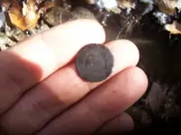 DEC 7TH  HUNT WITH ROGER  CELLAR HOLE CAMERA FOUND 009 [].webp