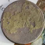 fattyB.webp