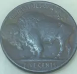 1937 Buffalo Back.webp