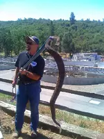 rattler.webp