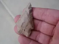 P1010059.webp