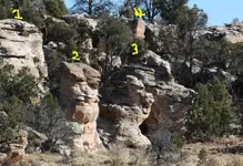 IMG_0021_jpg2area markers.webp