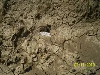 100_0700.webp