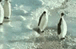 pemwalk.gif